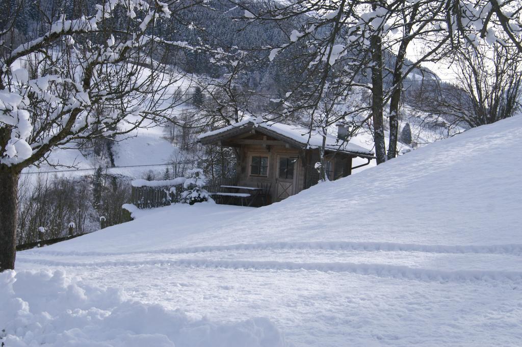 Vordergugg Villa Mittersill Exterior photo